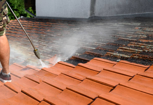 Best Roof Pressure Washing  in Florence, KY
