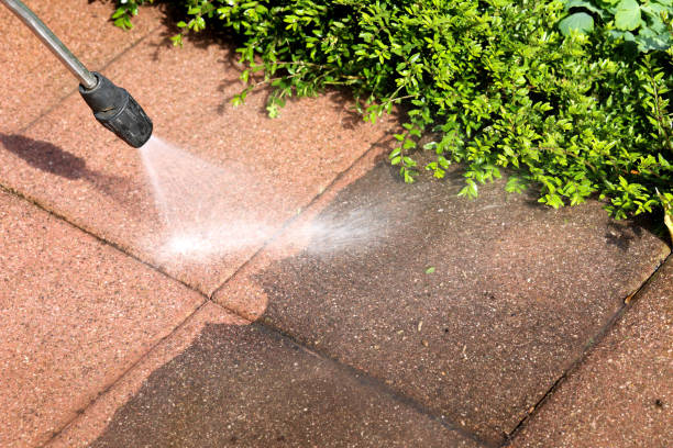 Best House Pressure Washing  in Florence, KY